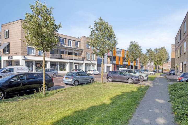 Foto 9 van Professor Regoutstraat 7