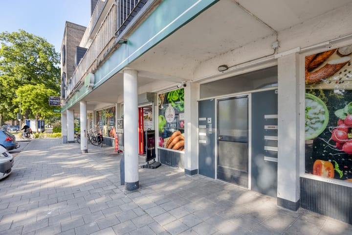 Foto 10 van Professor Regoutstraat 7