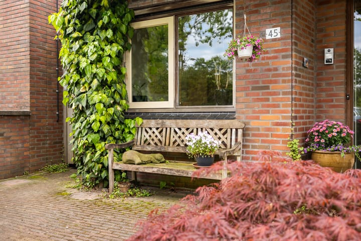 Foto 2 van Sloothaak 45