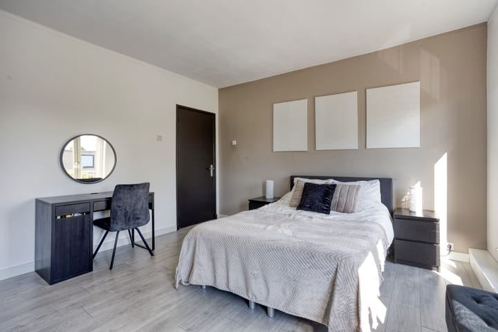 Foto 27 van Professor Regoutstraat 7