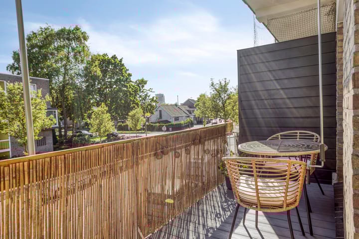 Foto 30 van Professor Regoutstraat 7