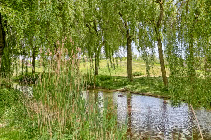 Foto 46 van Bijsterveldenlaan 232