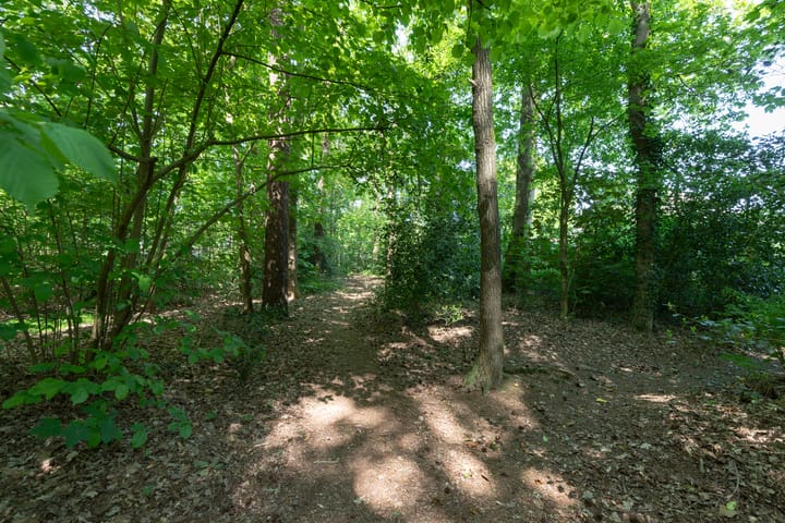 Foto 48 van Prins Clausstraat 54