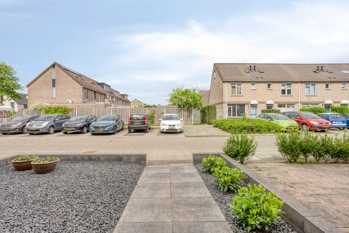 Foto 6 van Saffier 8