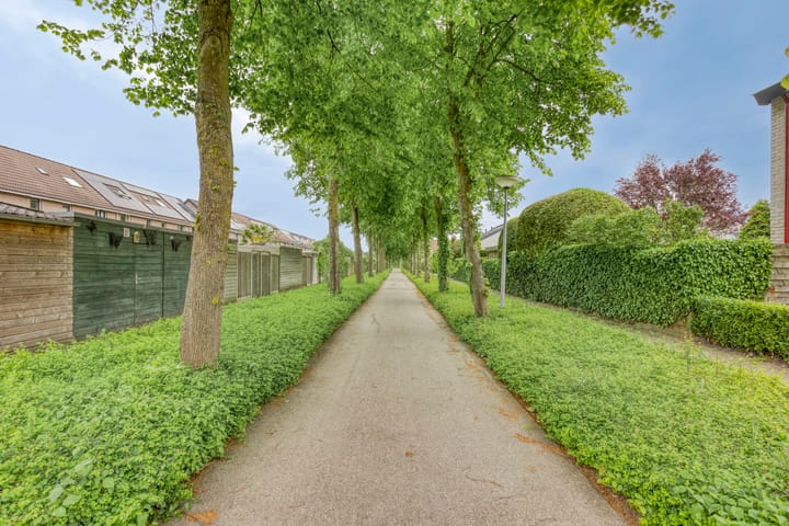 Foto 36 van Saffier 8