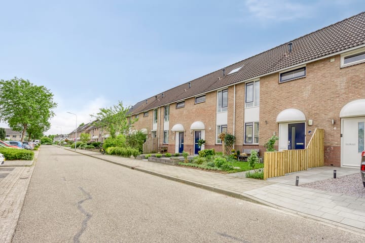 Foto 43 van Saffier 8