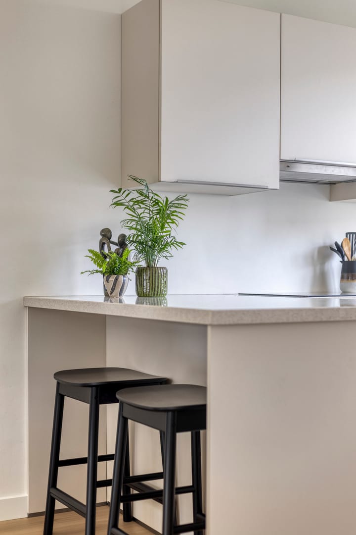 Foto 16 van Saffier 8