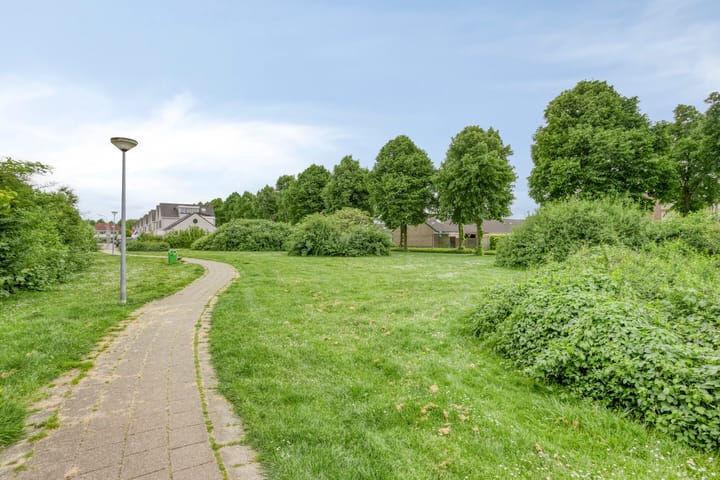 Foto 37 van Saffier 8