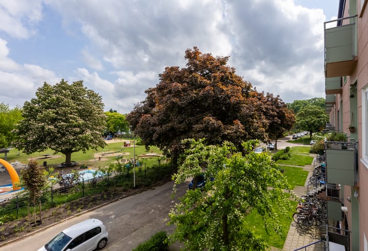 Foto 12 van Ligusterstraat 75