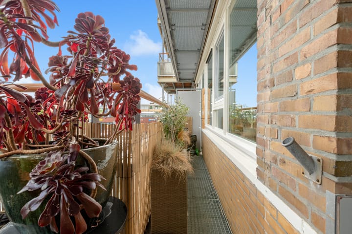 Photo 24 of Pelikaanhof 50