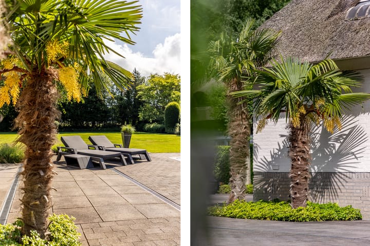 Foto 59 van Duinzoom 32