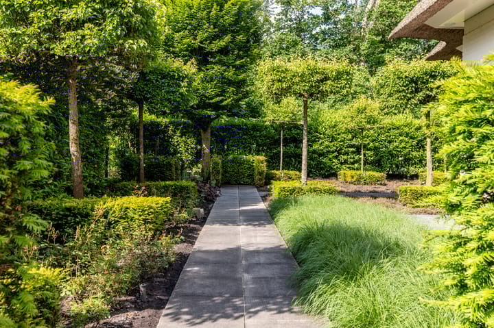 Foto 79 van Duinzoom 32