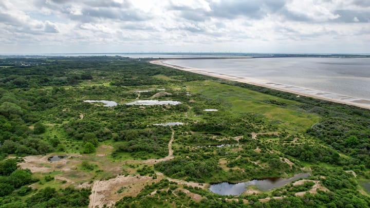 Foto 88 van Duinzoom 32