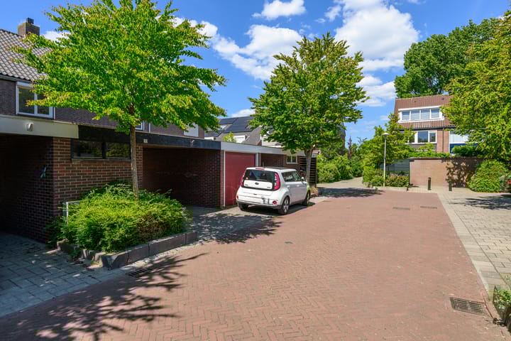 Foto 32 van Vuurdoorn 41