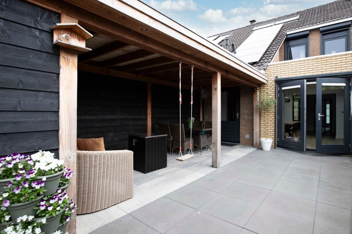 Foto 2 van Lijster 6