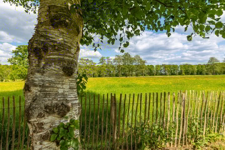 Foto 41 van Gorredijksterweg 40