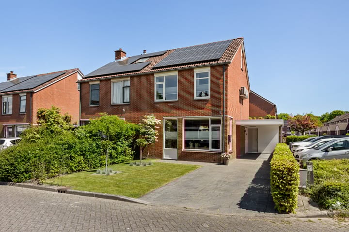 Foto 1 van Engelwortel 11