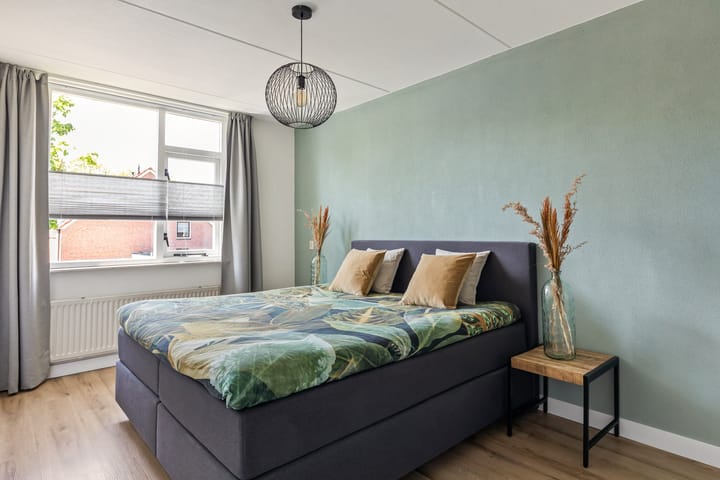 Foto 12 van Engelwortel 11