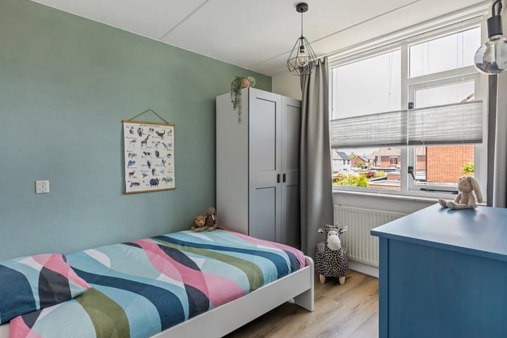 Foto 14 van Engelwortel 11