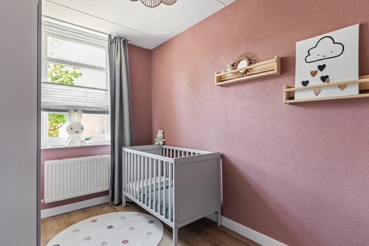 Foto 15 van Engelwortel 11