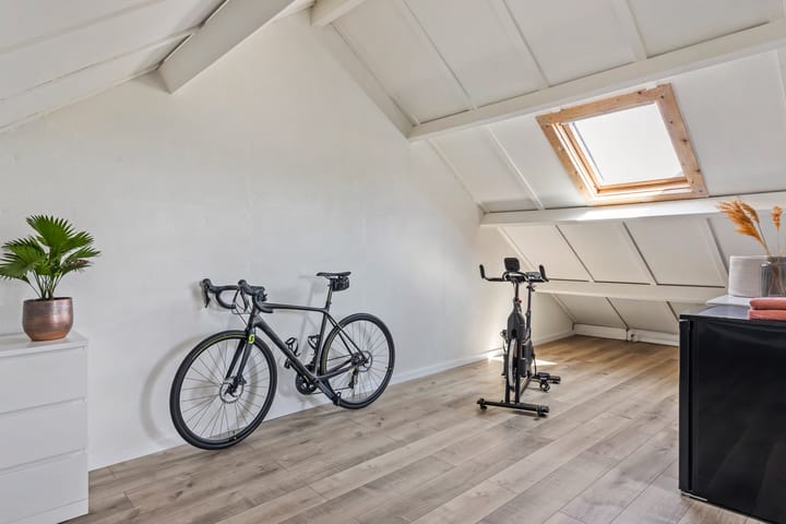 Foto 16 van Engelwortel 11