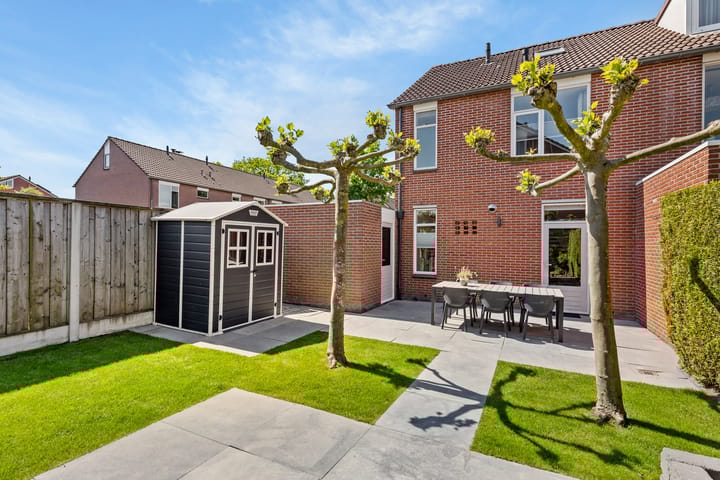 Foto 17 van Engelwortel 11