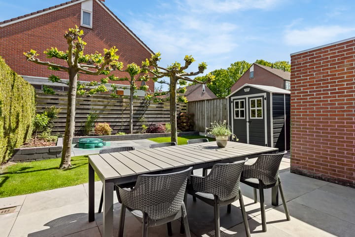 Foto 18 van Engelwortel 11