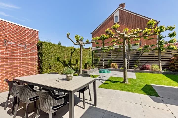 Foto 19 van Engelwortel 11