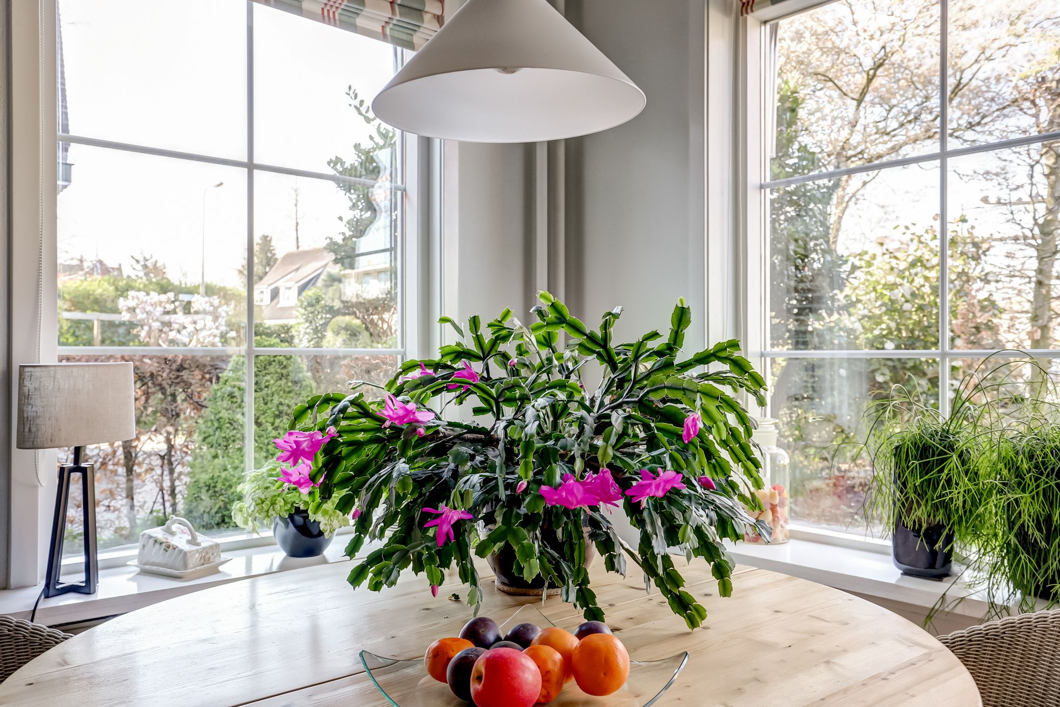 Foto 21 van Kerklaan 12