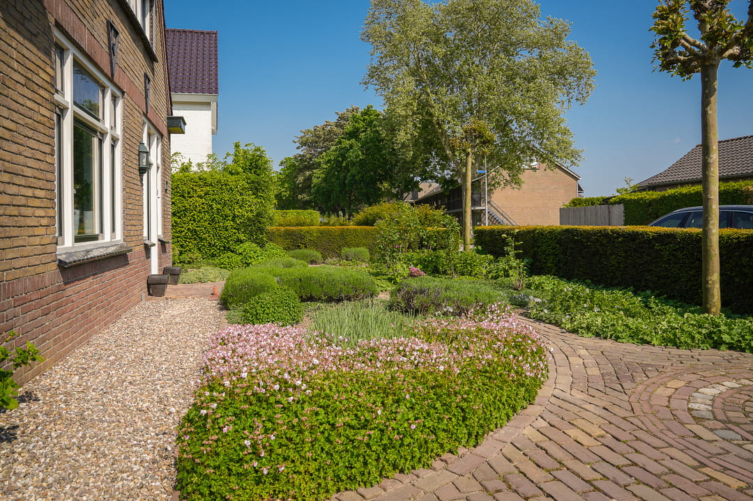 Foto 38 van Lijnbaanstraat 12