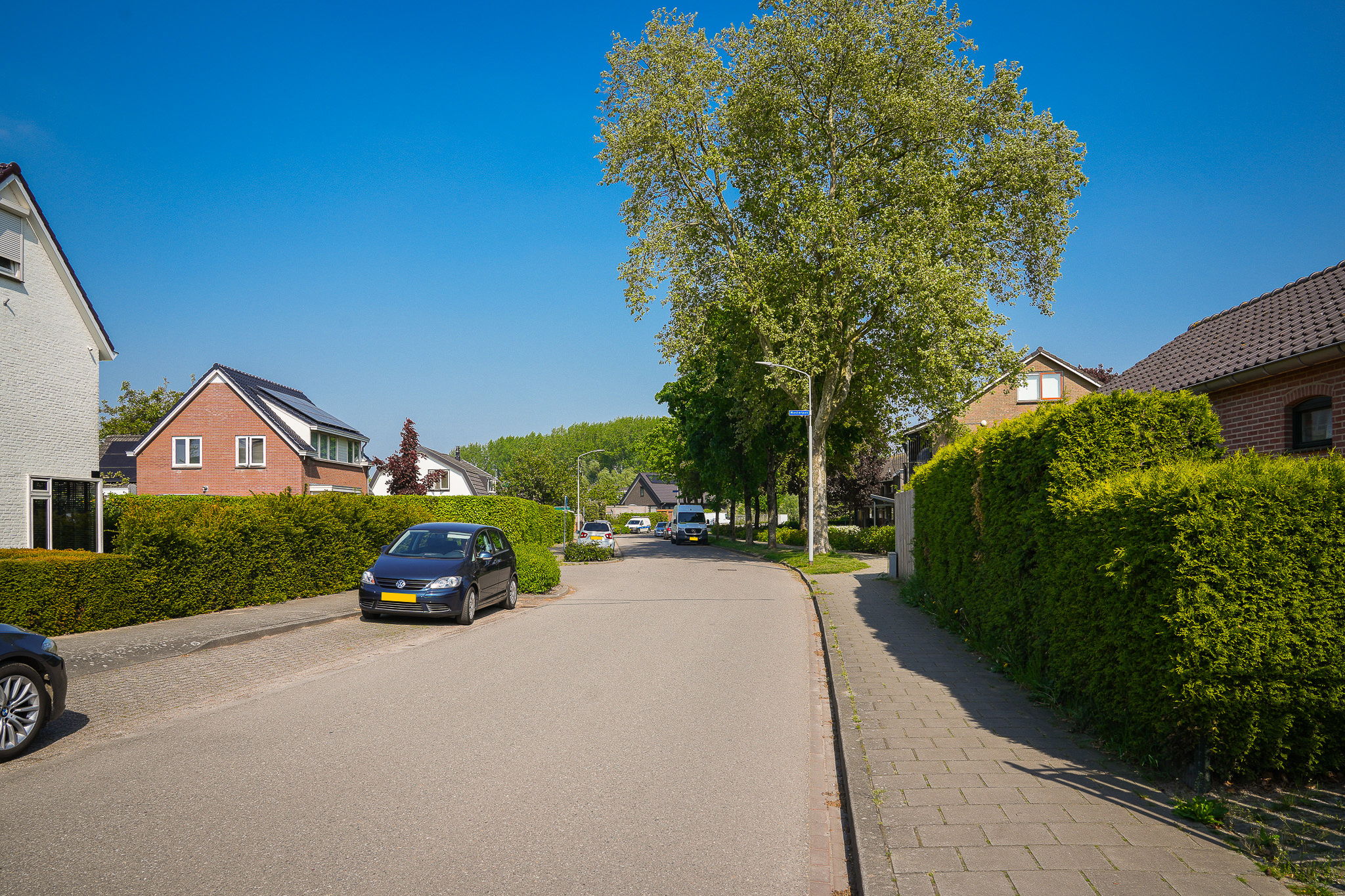 Foto 39 van Lijnbaanstraat 12