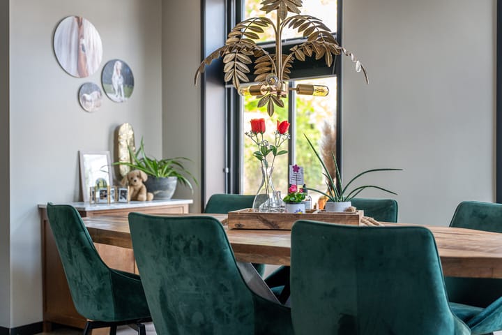 Foto 15 van Pheiferbuorren 6