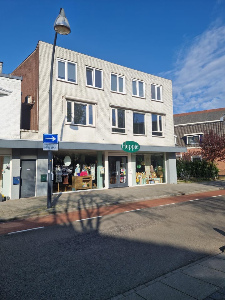 Foto 2 van Assendorperstraat 119-B