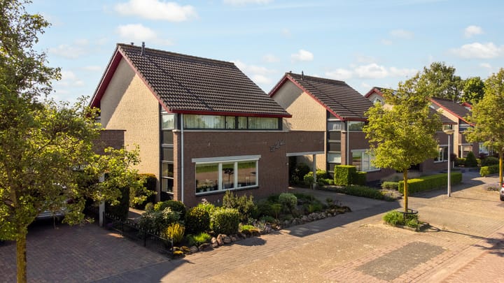 Foto 1 van Tureluur 10