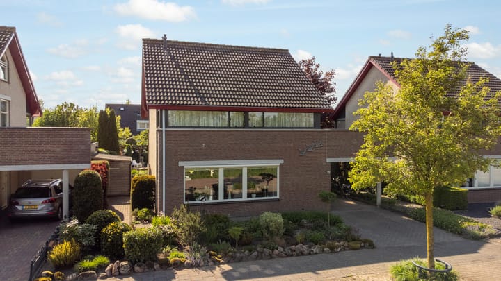 Foto 3 van Tureluur 10