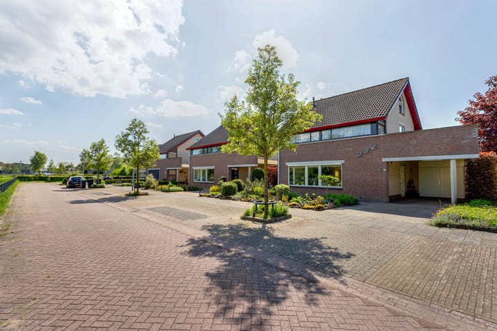 Foto 4 van Tureluur 10