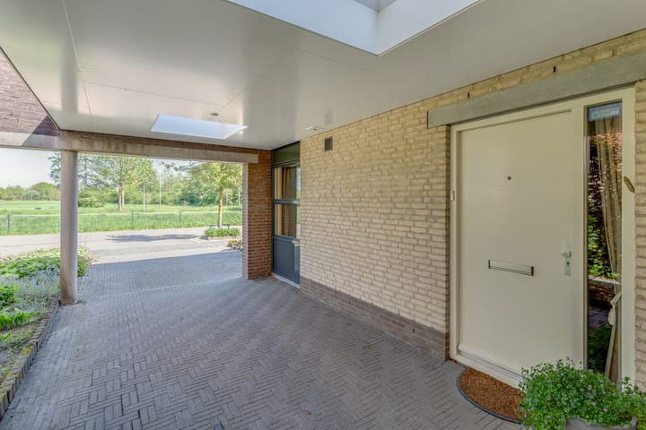 Foto 5 van Tureluur 10