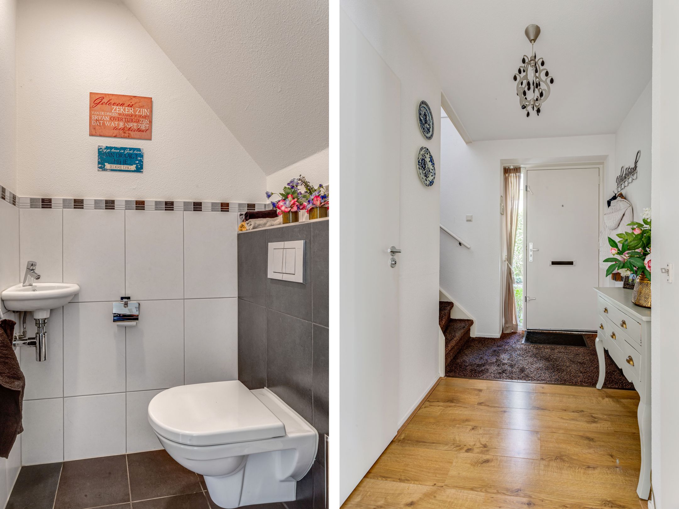 Photo 6 of Tureluur 10