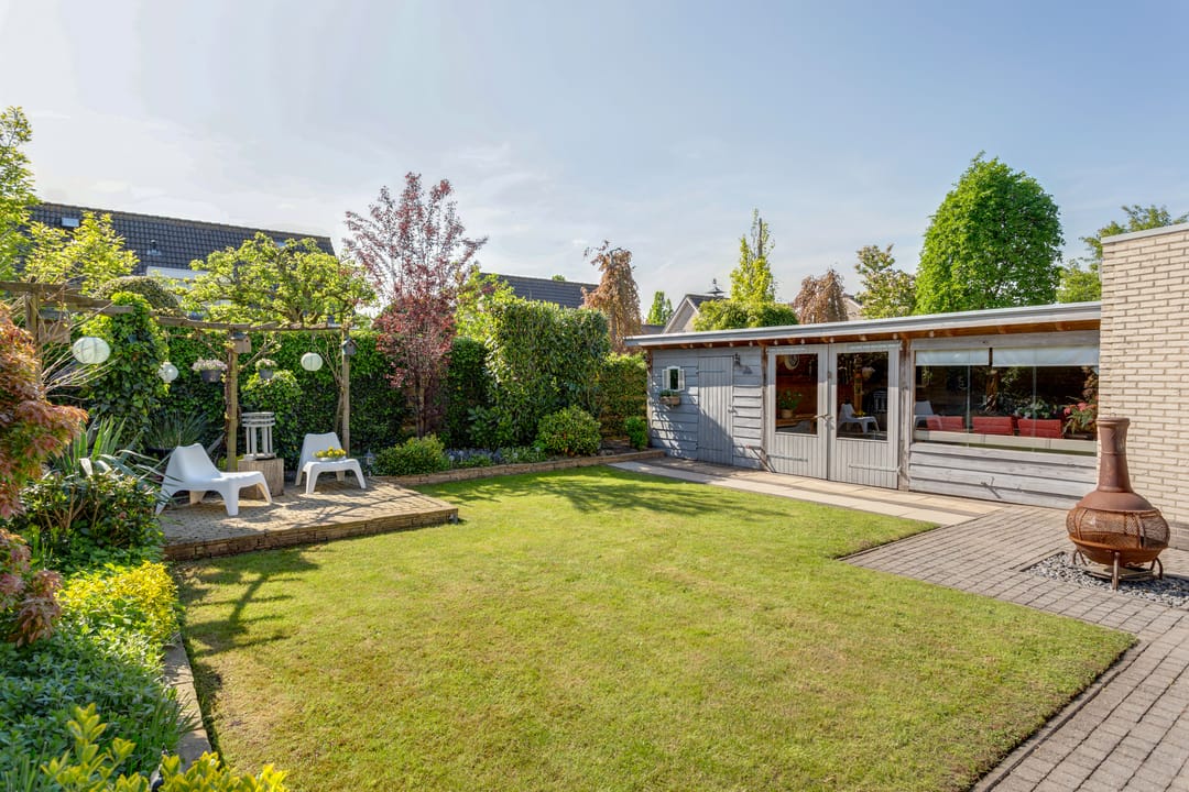 Photo 41 of Tureluur 10