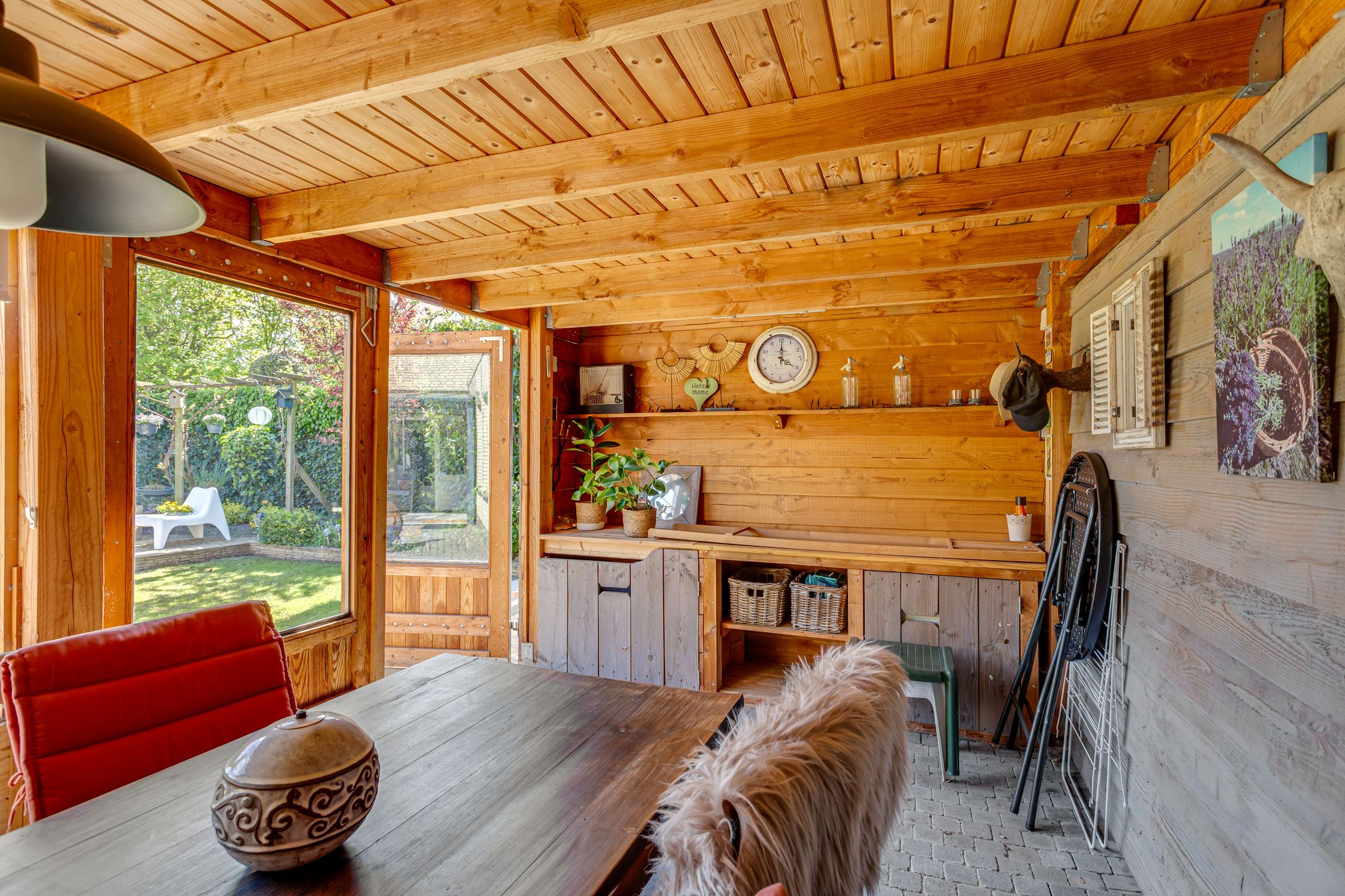 Photo 42 of Tureluur 10