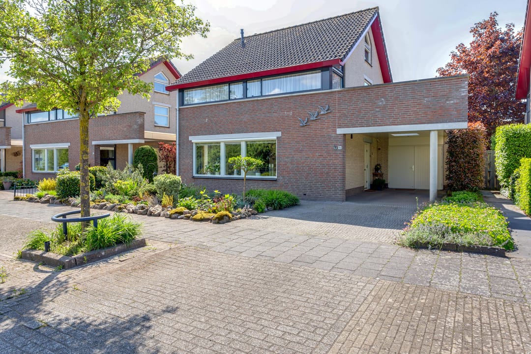 Photo 46 of Tureluur 10