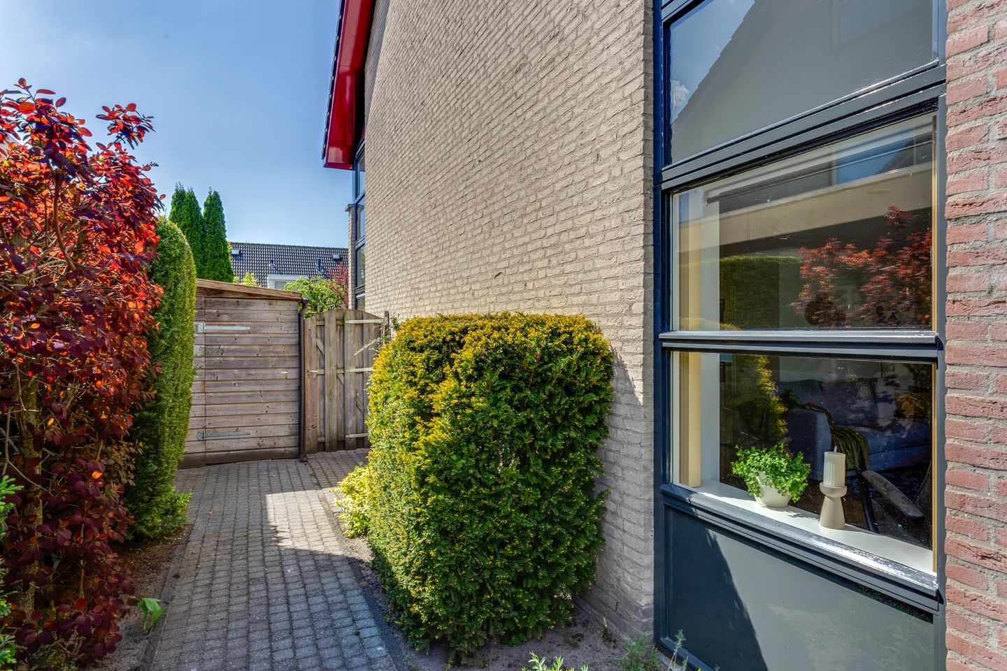 Photo 49 of Tureluur 10