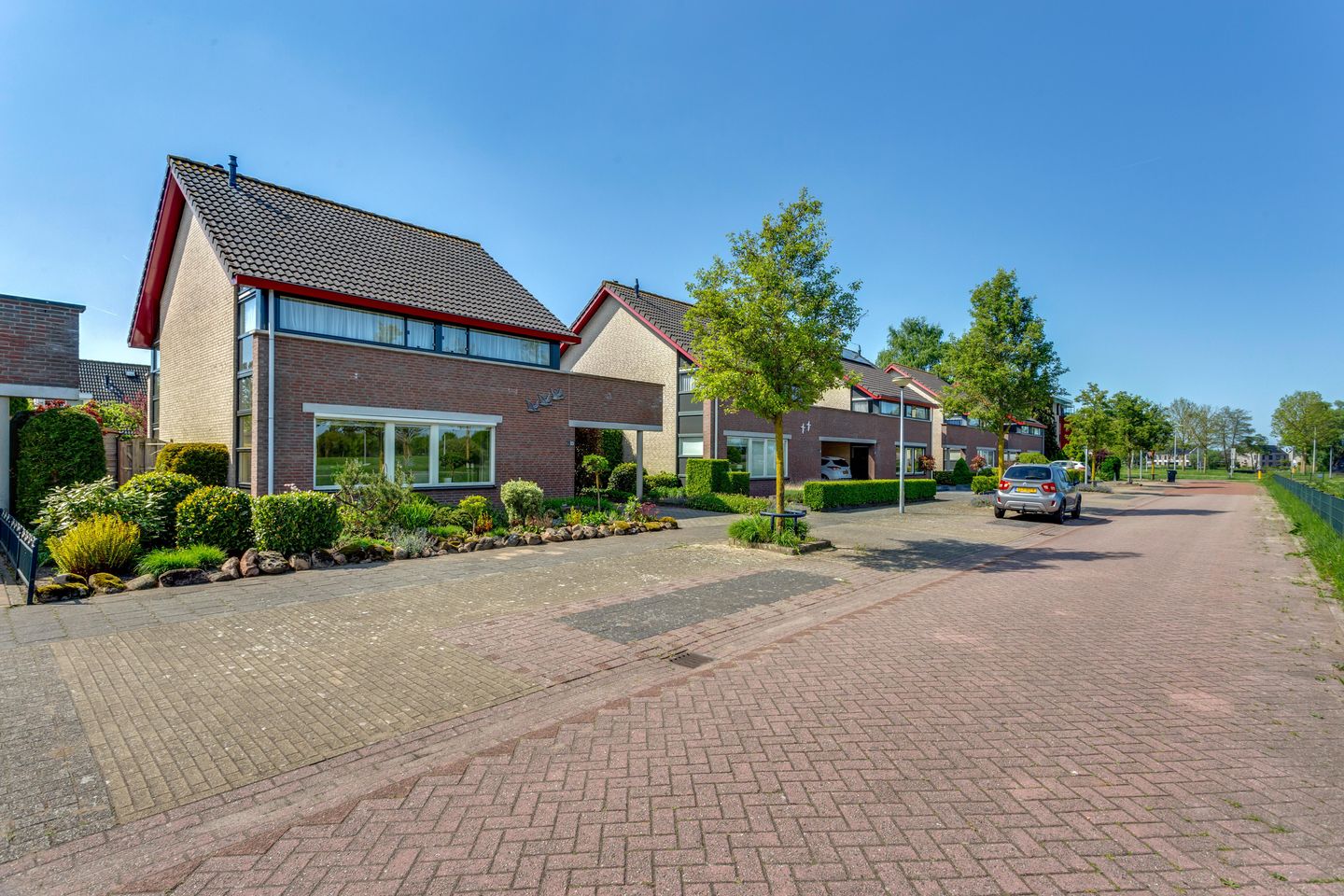 Photo 50 of Tureluur 10