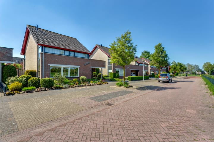 Foto 50 van Tureluur 10