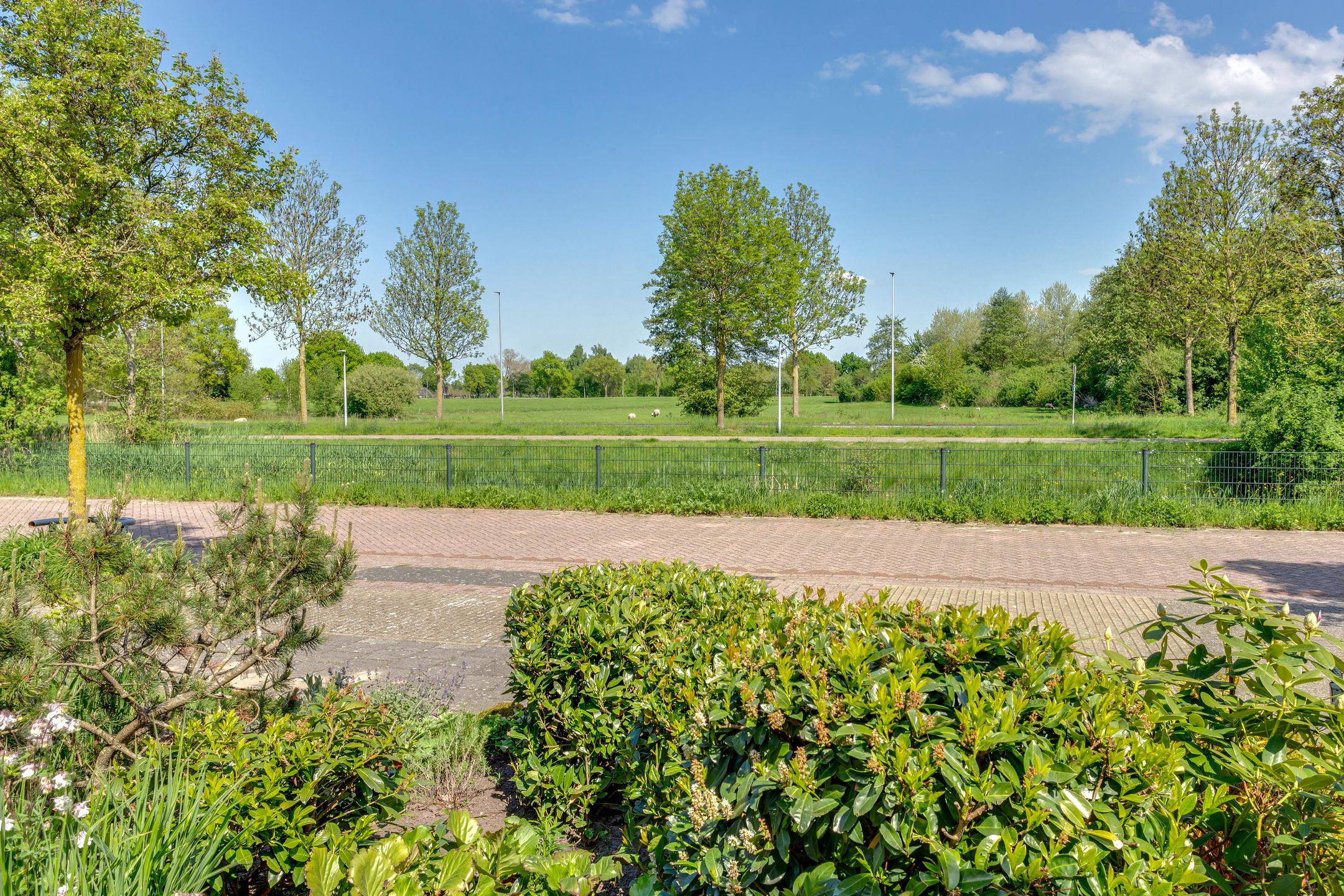 Photo 51 of Tureluur 10