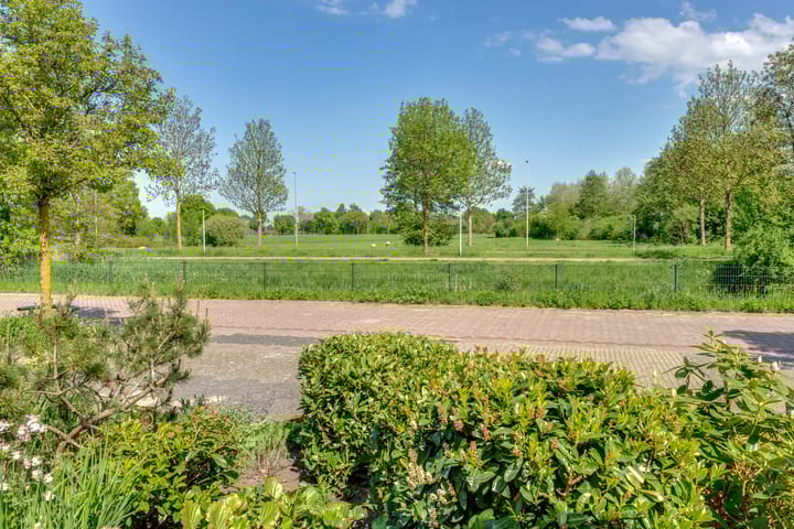 Foto 51 van Tureluur 10