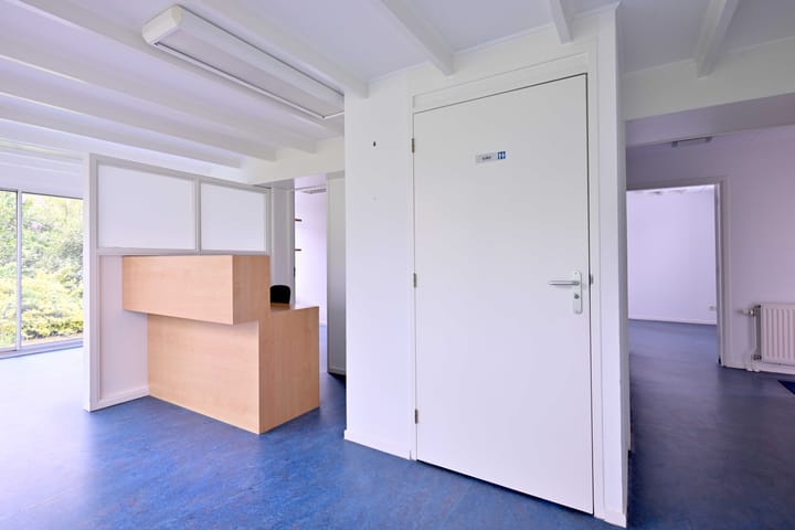 Foto 9 van Fonteinkruid 114