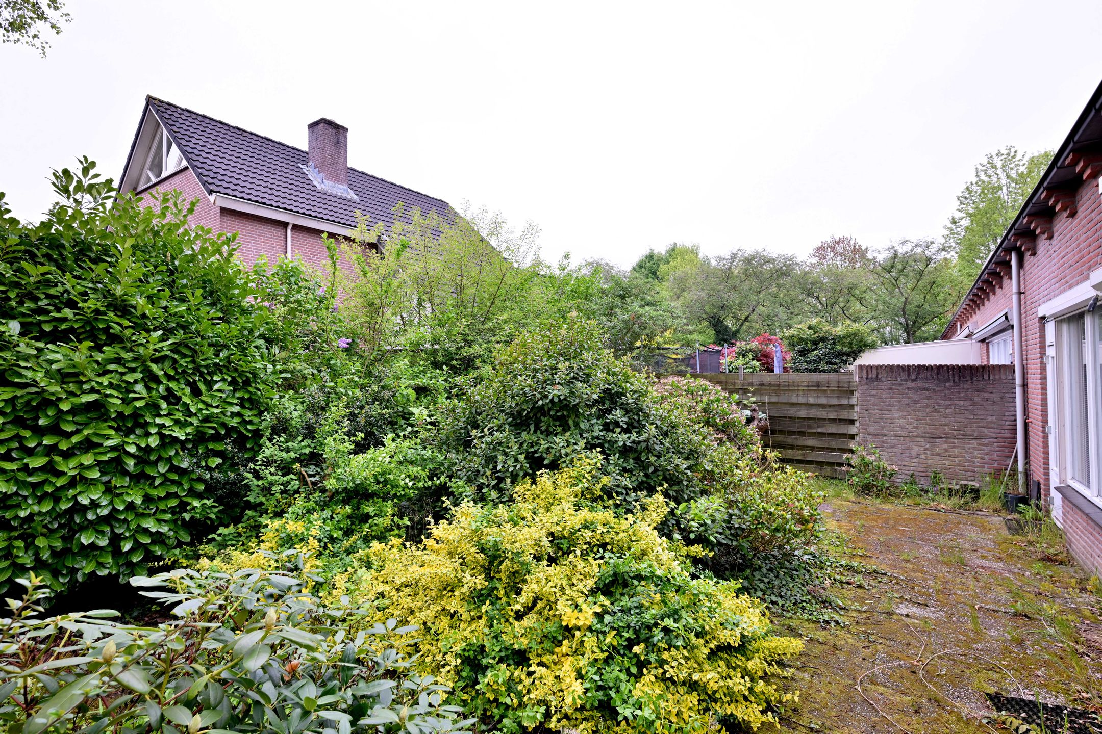 Foto 33 van Fonteinkruid 114