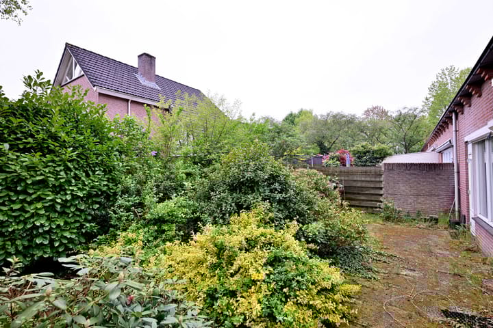 Foto 33 van Fonteinkruid 114