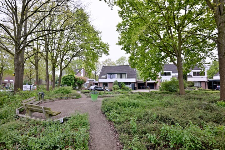 Foto 38 van Fonteinkruid 114